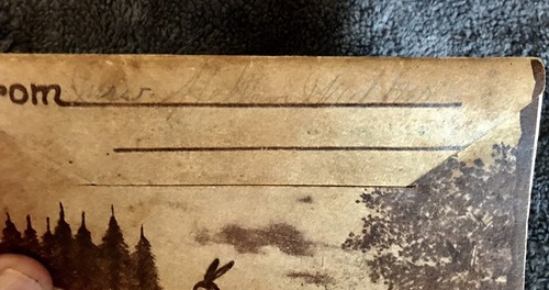 Early Vintage Folding Postcard View Book YELLOWSTONE NATIONAL PARK