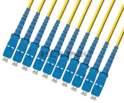 170M SC-SC Indoor Armored Singlemode 10 Strands Fiber Optic Cable