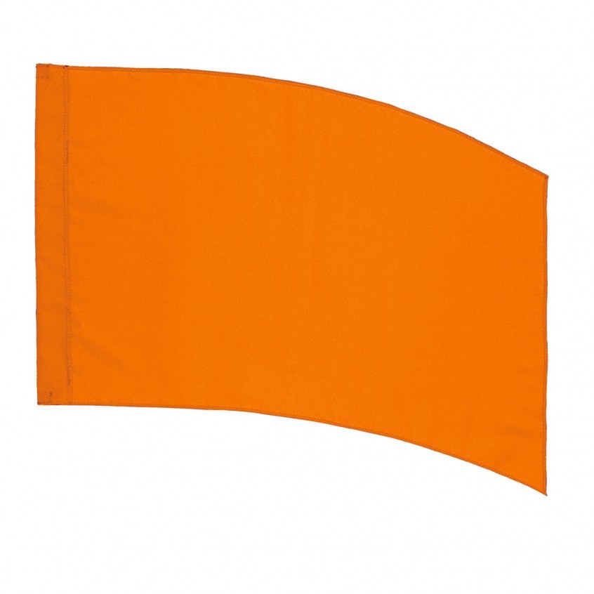 6 foot flag pole color guard