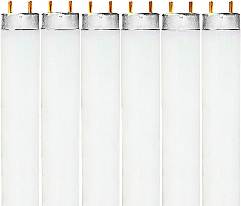 F32T8/865 32W 48 Inch T8 Fluorescent Tube Light Bulb, 6500K Daylight, 2800 Lumen