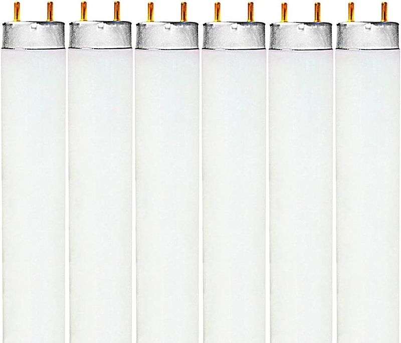 F32T8/865 32W 48 Inch T8 Fluorescent Tube Light Bulb, 6500K 