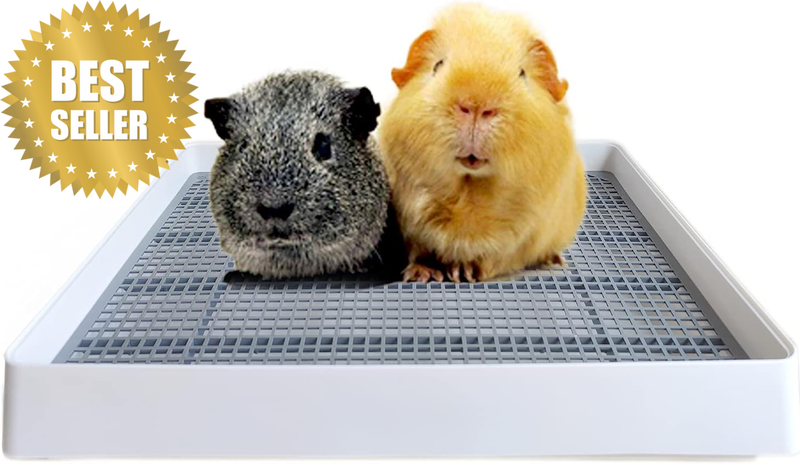 Rabbit Large Litter Box, Guinea Pig Training Pan Cage with Toilet Tray, Ideal fo