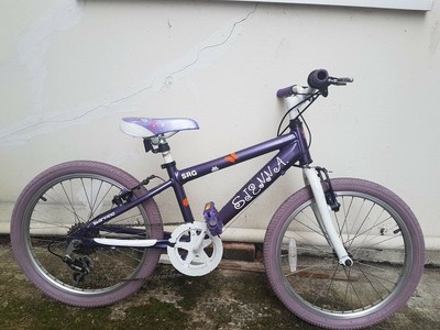 girls bike 20 inch wheels Hand Built 
