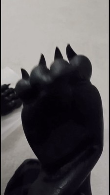 Foto dell'oggetto di un acquirente verificato