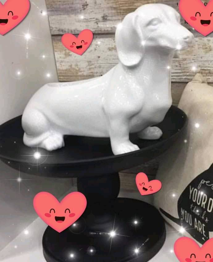 Sausage dog / Dachshund warmer in Perth and Kinross Gumtree