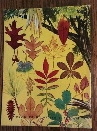 Book #5 - More Trees by Frederick J. Garner/Walter T. Foster Publication