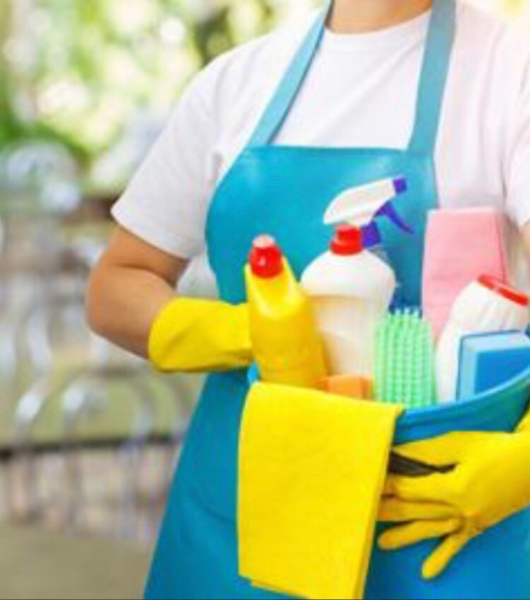 House Cleaner In Willesden London Gumtree