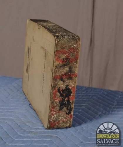 RARE Lithograph Print Stone Patrick Henry Hotel Roanoke Virginia 1920s Meyer