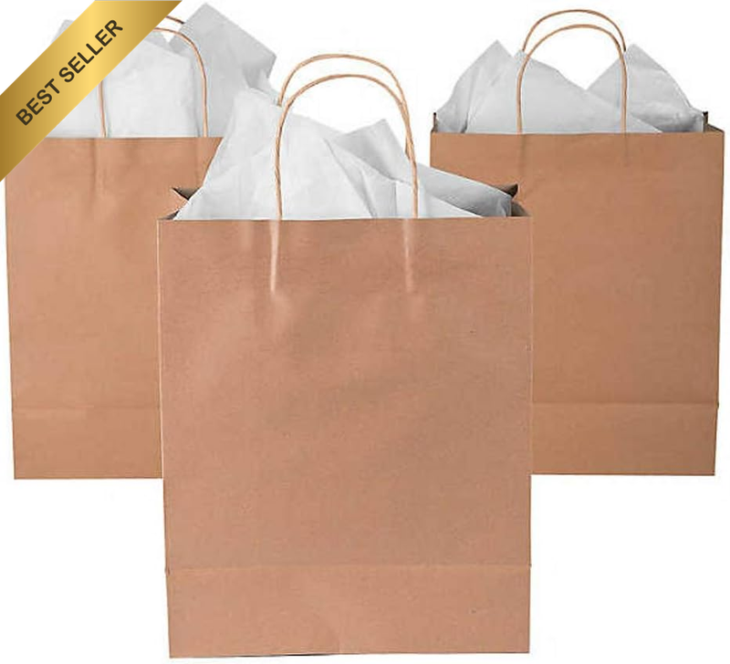 Small Brown Paper Carry Bags Kraft Paper Gift Bags with Twisted Paper Handle 350