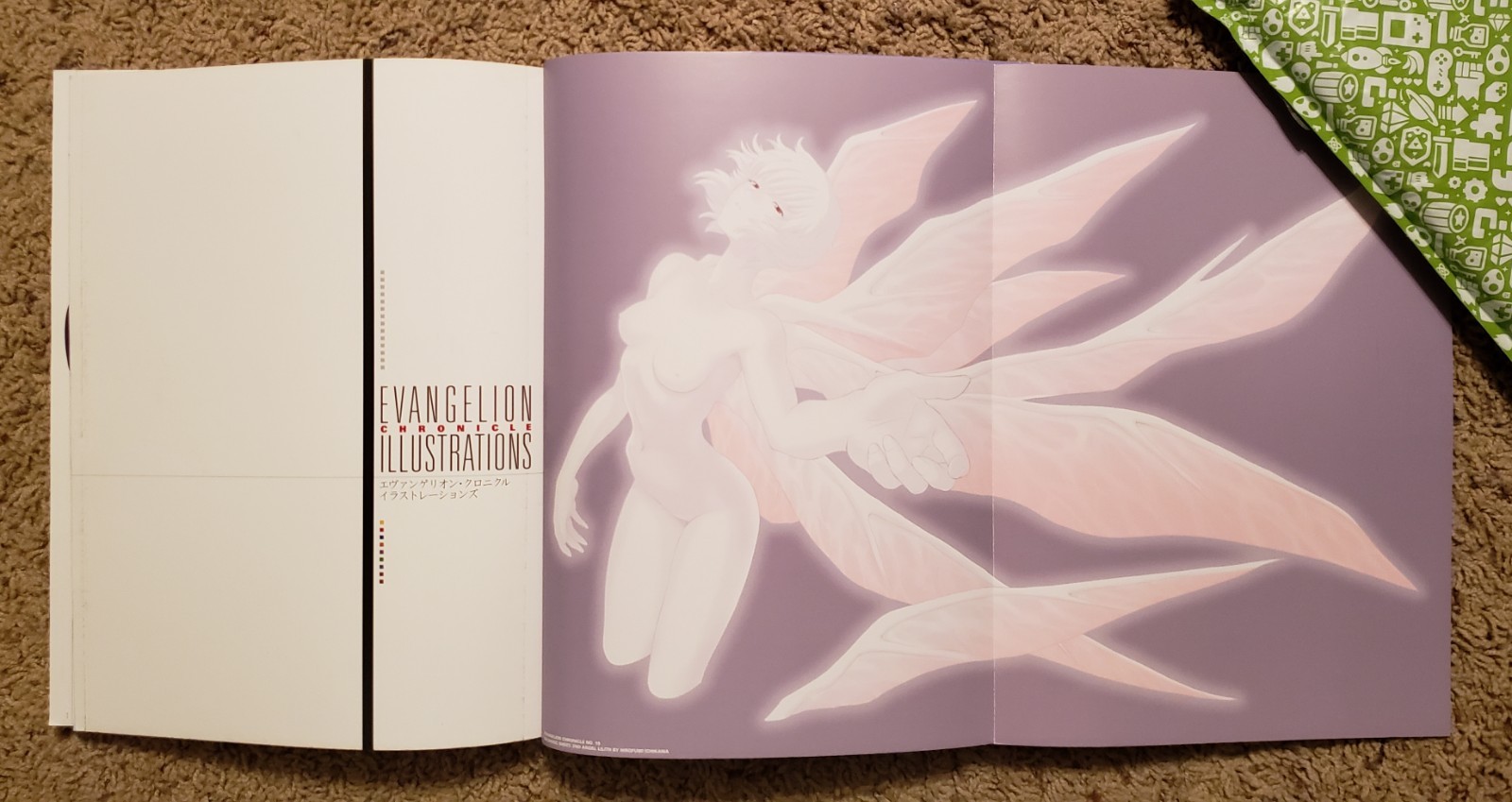 Evangelion Chronicles Illustrations anime art book English edition