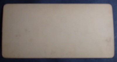 1890'S STEREOVIEW CARD THE GREEN SALON WHITE HOUSE WASHINGTON DC UNIVERSAL PHOTO