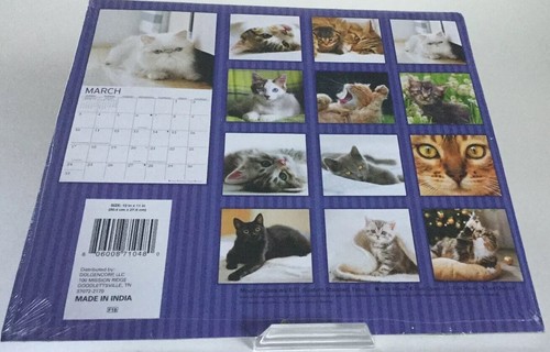 Cats 2019 Calendar 16 Month Wall Hanging 12 X 11 Inch Cat Lover Pet Animal