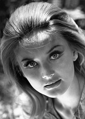 Barbara Bouchet Beautiful 1960 S Publicity Portrait 5x7 Inch Photographのebay公認海外通販 セカイモン