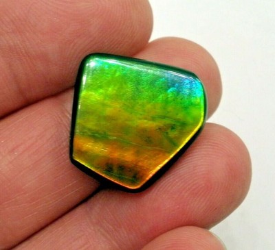 Beautiful Canadian Ammolite Gemstone, Red, Green and Blue Broadflash