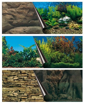 Aquarienrückwand 6 Motive 3 Größen Rückwand Aquarium Fotorückwand Rückwandbild