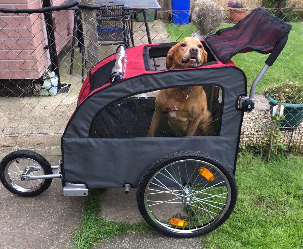 Dog Stroller in Goole, East Yorkshire Gumtree