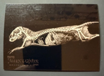 2024 Topps Allen & Ginter X-Ray d Insert Cards You pick Complete Your Set
