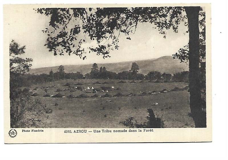 Maroc  Azrou  Une Tribu Nomade Dans La Foret