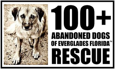 100plusanimalrescueinc.