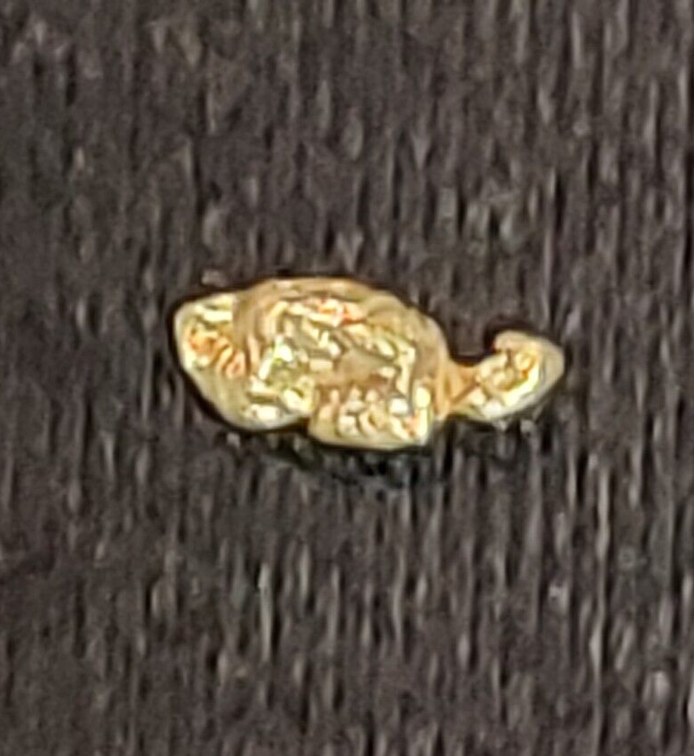 GOLD RUSH! (2) Authentic Alaskan Yukon Gold Nuggets / Genuine Natural Ore