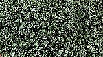 Scenic Express EX806B Coarse Green Grass Flock & Turf 32 Oz. Shaker