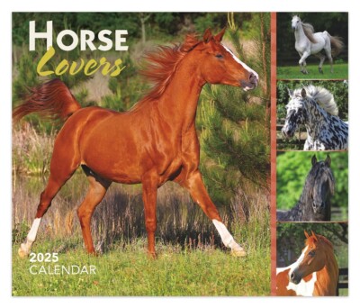 Horse Lovers | 2025 6x5'' Daily Desktop Box Calendar | New Page Every Day