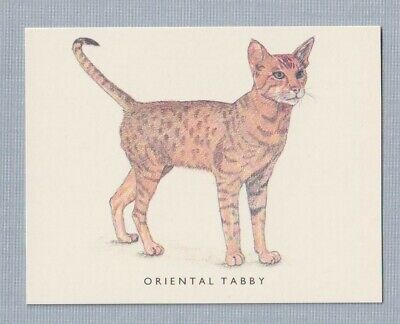 ORIENTAL TABBY CAT ~ VINTAGE COLLECTOR CARD BREEDS ~ 1994 GOLDEN ERA CATS #18