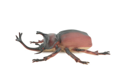 DeliciousTaylormade BeeAroundLil’BEEtle $_1.JPG?set_id=880000500F
