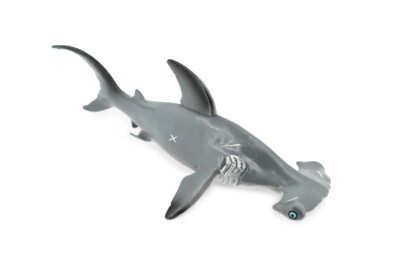 Hammer Head Shark 廃盤2枚 Hammer Head Shark 廃盤2枚 - メルカリ