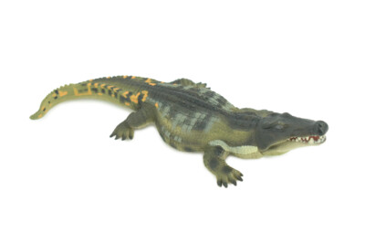 小物 WILD SWANS CROCODILE / NORMA(S) WILD SWANS CROCODILE / NORMA(S)