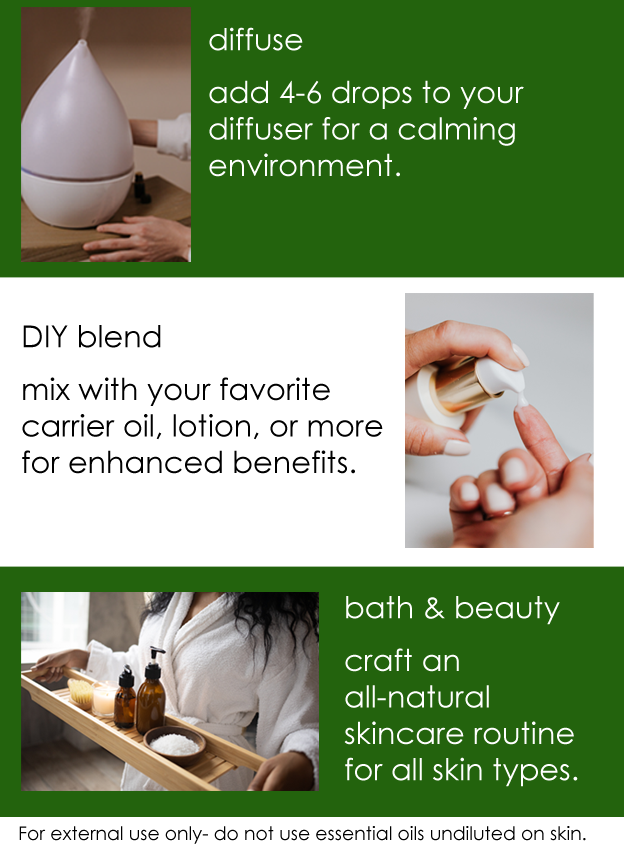 GreenHealth Cinnamon (Cassia) Essential Oil 100% Pure Many Sizes Free Shipping