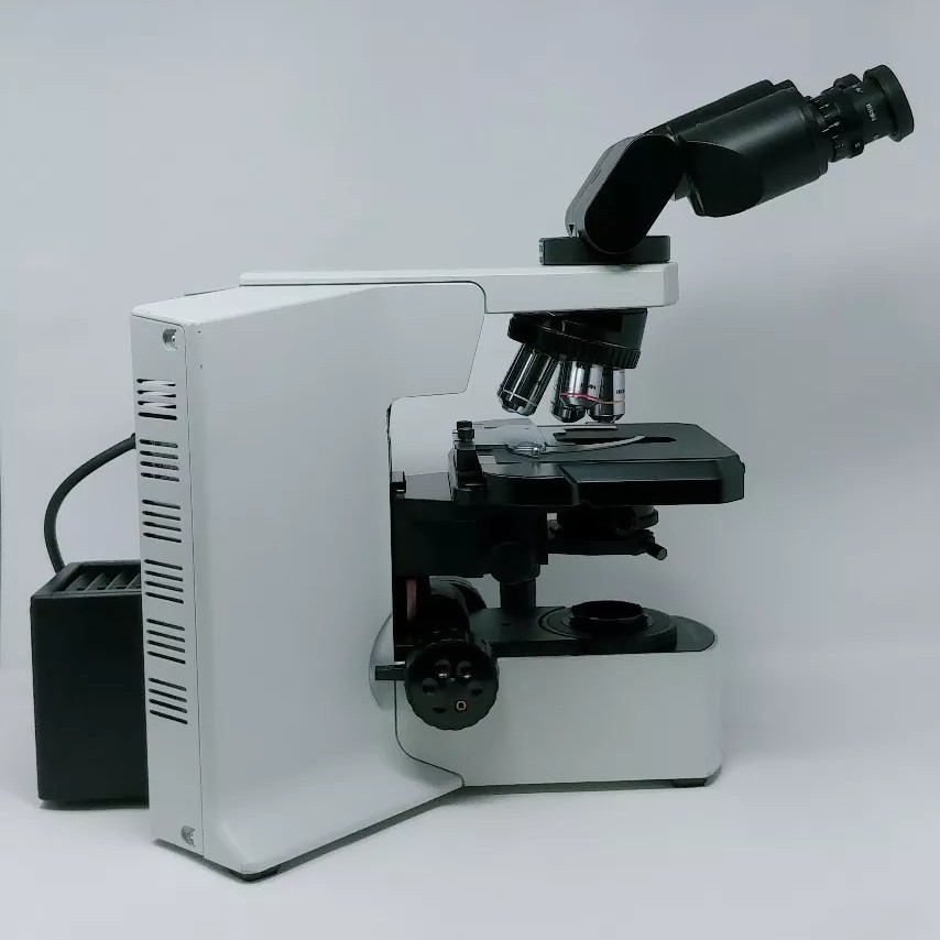 Olympus Microscope BX51 with Tilting Binocular Head