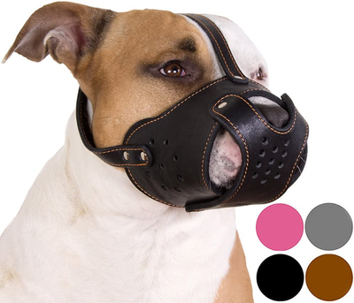 Dog muzzle best sale for pitbull