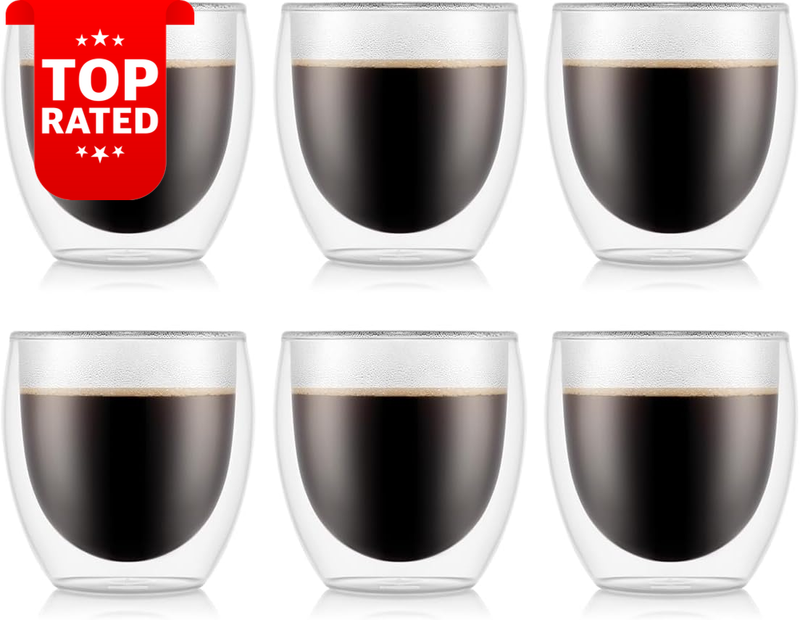 Pavina Double Wall Glass Set of 6 Tumblers 250ml Insulated Drinkware