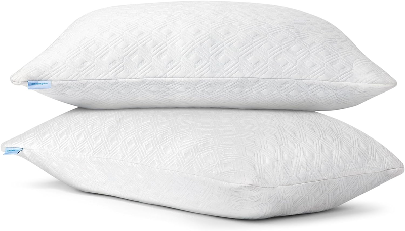 King Size Rayon Derived from Bamboo Pillows, Cooling Shredde