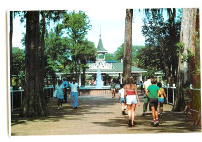 Postcard - Florida's Silver Springs Entrance - Tall Rustic  Cypress Tree Lines