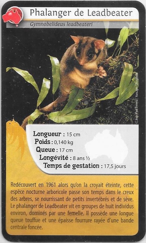Carte Bioviva! - Phalanger De Leadbeater