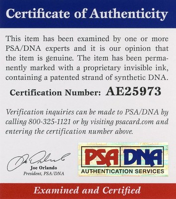 Annie Wersching Signed PSA/DNA COA 8X10 24 Photo Auto Autograph Autographed PSA