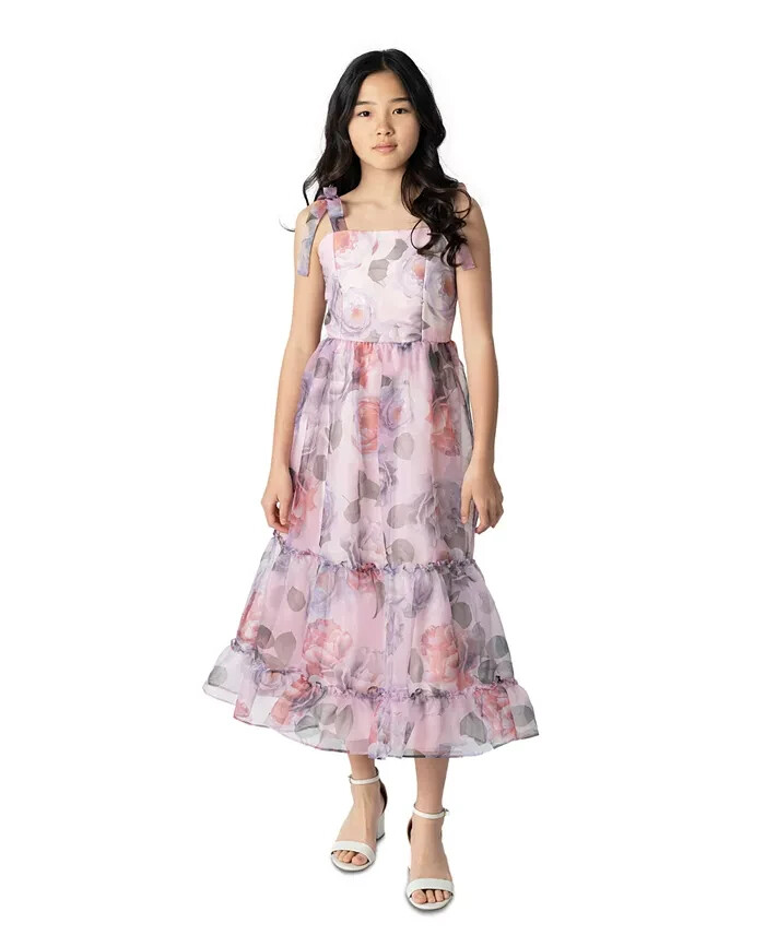 Rare Editions Floral-Print Organza Maxi Dress Big Girls' 16 Lavender Back Zip - Picture 1 of 16