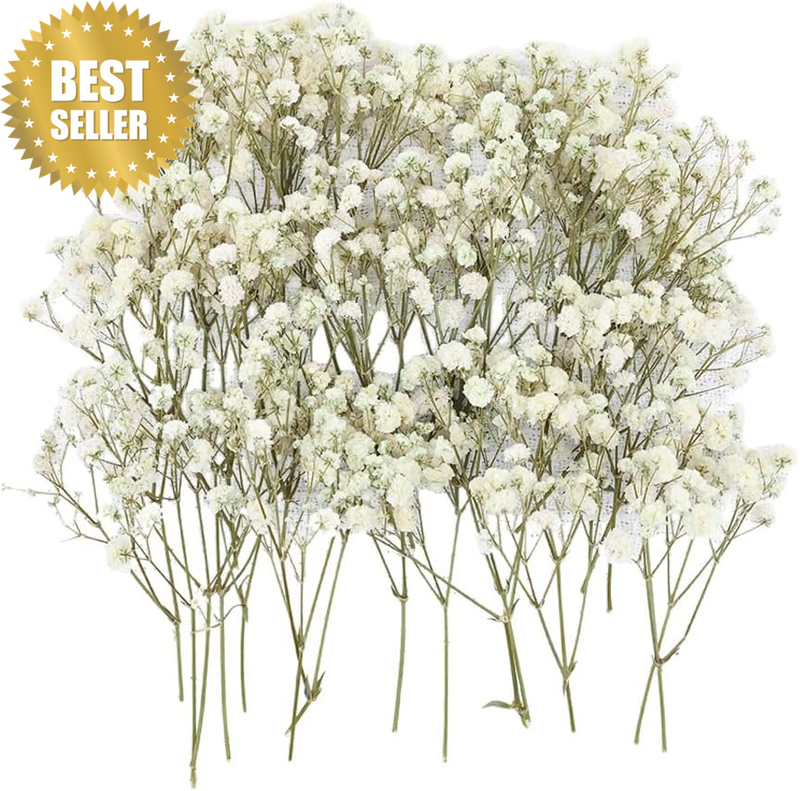 90Pcs Babys Breath Dried Pressed Flowers for Crafts,Xinxinran White Dry Flowers