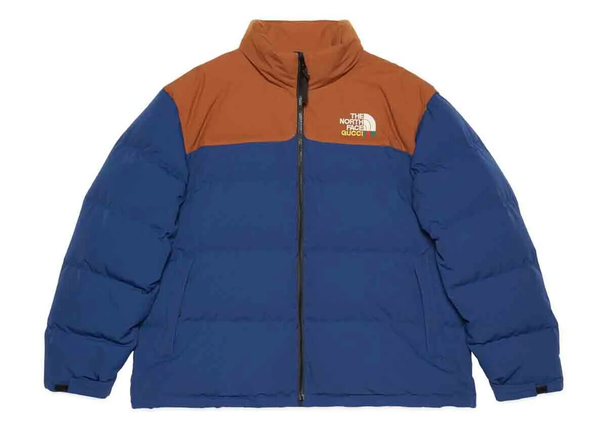 Authentic Men's The North Face X Gucci Techno Ripstop 700