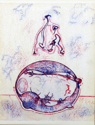 Max Ernst Lithograph 1971 XXe Siecle Apres Moi le 12-1/4 x 9-1/2