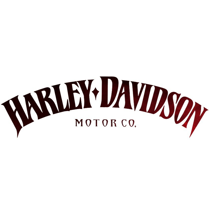 Harley-Davidson スカルエンブレム 約3インチ baikuya-utsunomiya_14101831