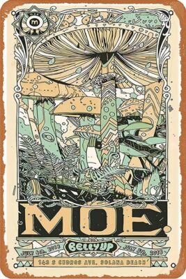 2018 Moe. - Solana Beach Silkscreen Concert Poster Metal Tin Sign for Wall Decor