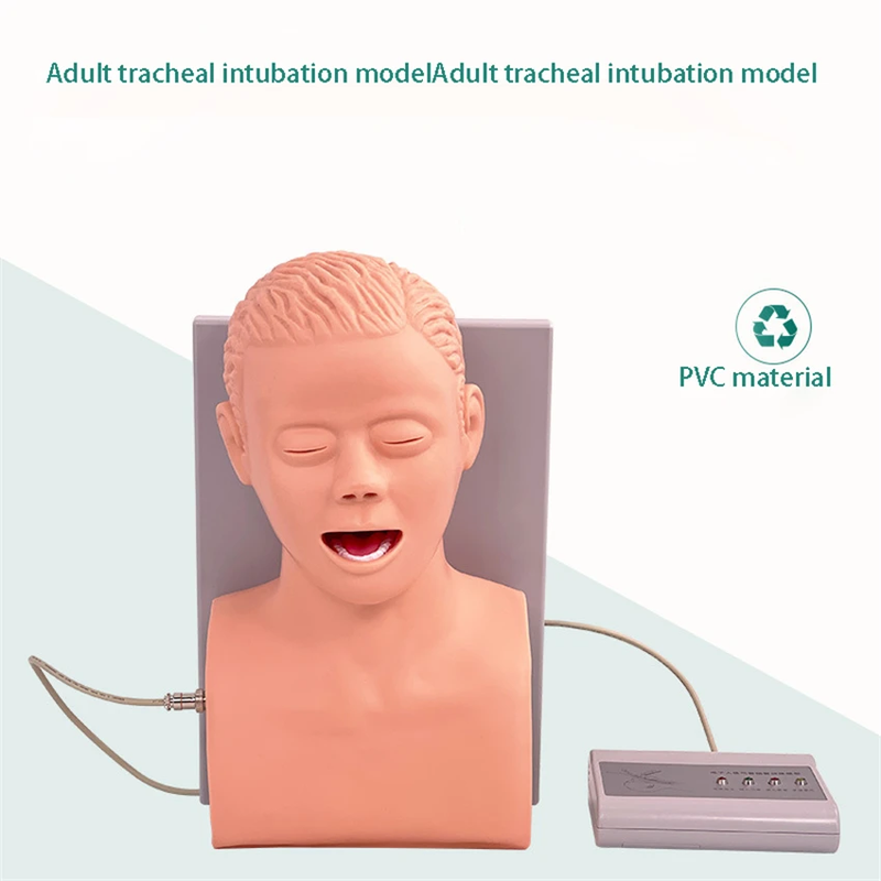 Adult Intubation Manikin Study Teaching Model Airway Management Trainer PVC With