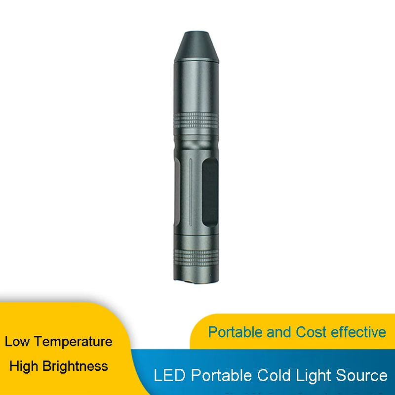 Medical Endoscopy Portable Handheld Waterproof High Brightness ENT Endoscope USB