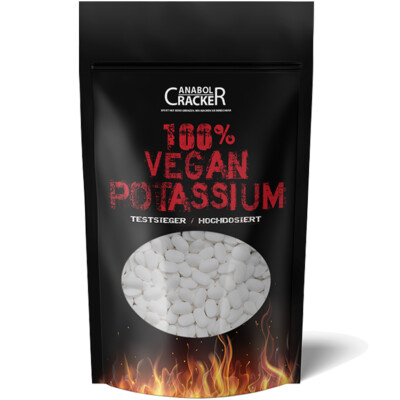 500 TABLETTEN KALIUM Vegan Potassium Gluconat, Hochdosiert Stoffwechsel 