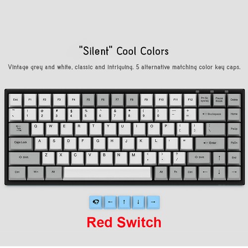 AKKO Bluetooth And Wired Gaming Mechanical Keyboard PBT Keyc