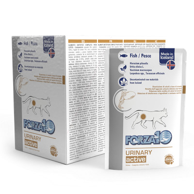 Forza10 Cat Urinary ActiWet Wet Food With Fish, 100g