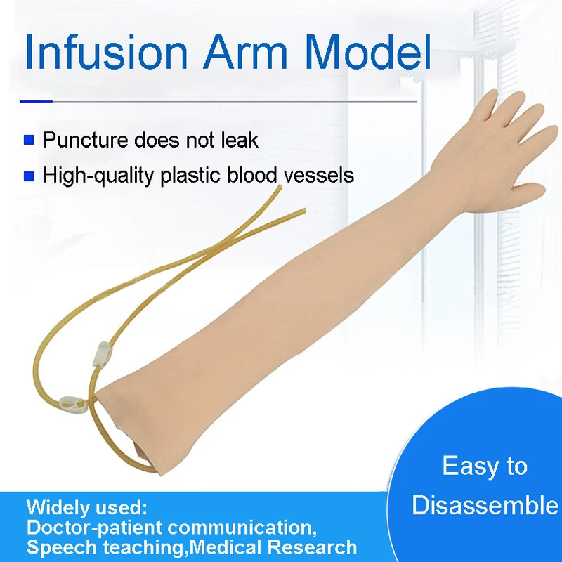 Advanced arm Anatomical Phlebotomy Venipuncture Practice Model anatomyInjection